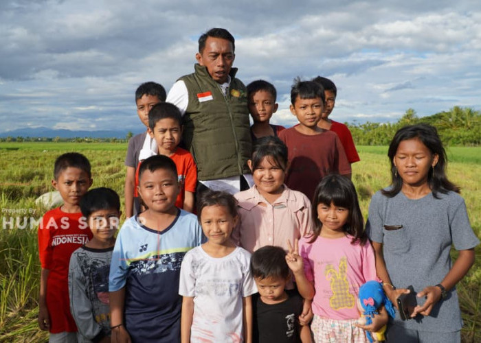 Bupati Sidrap Panen IP 300 di Majjelling, Produktivitas Capai 8 Ton per Hektare