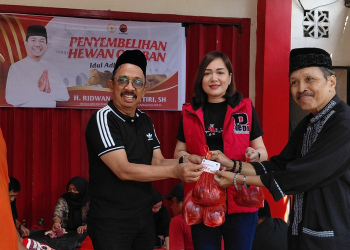 PDI Perjuangan Sulsel Salurkan 151 Hewan Kurban, Ridwan Andi Wittiri: Kurban Wujud Kesalehan Sosial