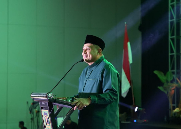 Appi Kenang Peran PPP dalam Karier Politiknya