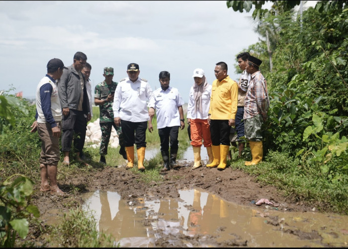 Appi Tinjau Tinjau Akses Jalan di Perbatan Makassar-Gowa, Anggarkan 4 Miliar Perbaikan 2026