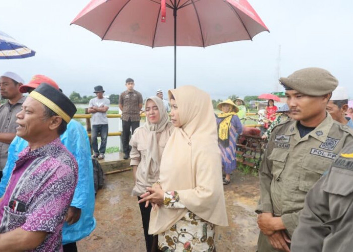 Antisipasi Bencana, Aulia Arsyad Dampingi Wali Kota Tinjau TPA, Jembatan dan SD Inp Kajenjeng