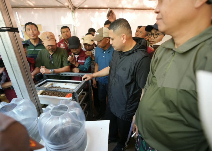 Tuntas di 14 Kecamatan, Jelajah Sampah Makassar Kumpulkan 1.506 Kilogram Sampah
