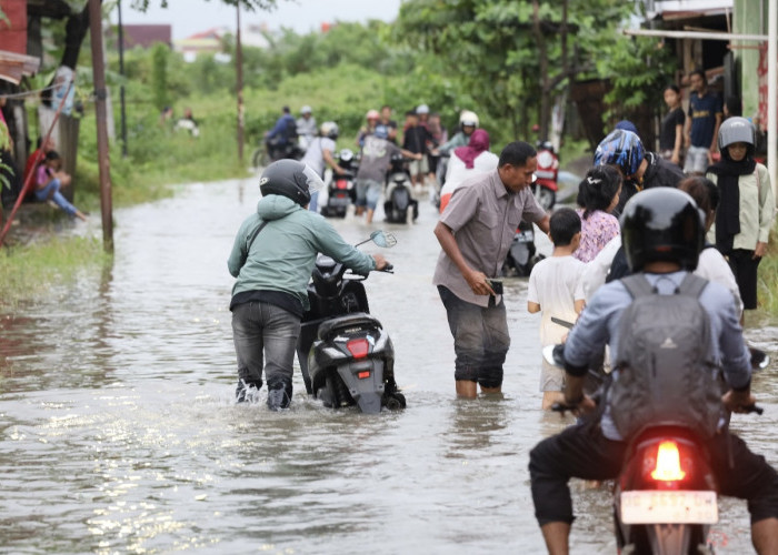 Pantau Banjir Di Wilayah Katimbang dan Paccerakkang, Appi: Kita Akan Carikan Solusi