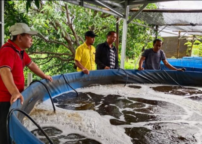 DP2 Makassar Dampingi Asdep Kemenko RI Kunjungan ke Lokasi Budidaya Ikan Bioflok