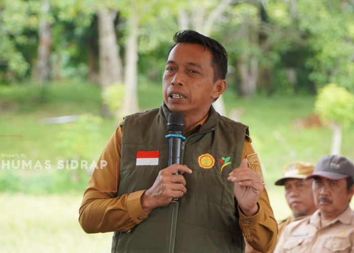 Operasikan Combine Harvester, Bupati Syaharuddin Panen IP 300 di Desa Mario