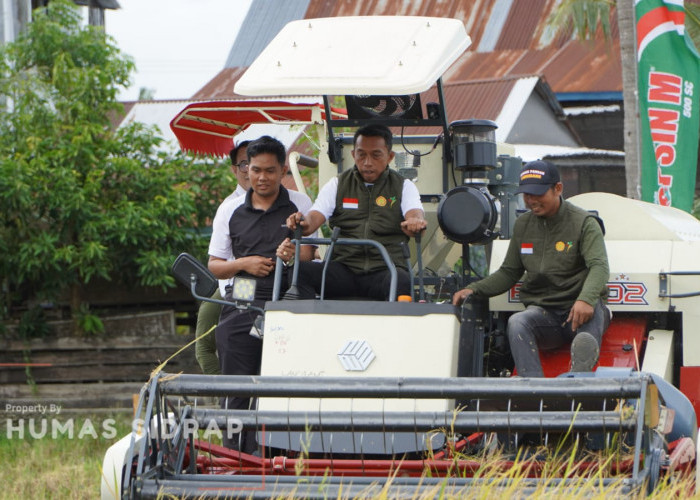 Lancirang Panen IP300, Mantapkan Peran Sidrap Penyangga Pangan Nasional