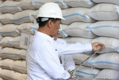 FAO Akui Keunggulan Pangan Nasional: Stok Beras Melimpah, Indonesia Tak Lagi Impor dan Siap Ekspor