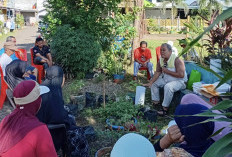 Perubahan Lingkungan dari Lorong-lorong kecil, Antara Biopori dan Eco-Enzime