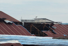 SDN Sungguminasa 2 Rusak Diterjang Angin Kencang, Komisi IV Bergerak Cepat Fasilitasi Perbaikan