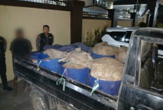 Polisi Sita 350 Liter Ballo Asal Desa Bontokassi, Satu Warga Diamankan