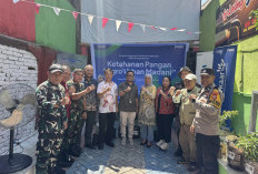 Ketahanan Pangan Tak Harus Dimulai dari Sawah