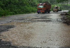 Poros Malino Rusak Berat, Pengguna Jalan Seolah Melintas di Jalan Ternak