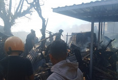 Kebakaran Asrama Kodam Mattoanging Hanguskan 23 Rumah, Dugaan Api Muncul Setelah Listrik Menyala