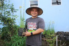 Urban Farming dan Jalan Keluar dari Krisis Sampah Kota