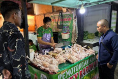 Pantau Hak Atas Pangan Di Bulan Ramadhan, Kementerian HAM Tinjau Pasar Pabaeng-Baeng Makassar  