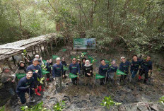 Telkomsel Jaga Bumi Carbon Offset Fase 3: Tanam 12.731 Pohon Baru dan Serap 824 Ton Emisi Karbon
