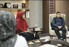 DP2 Makassar Realisasikan Urban Farming Terintegrasi, Edufam Dimulai 2026