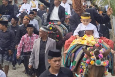 Menjaga Marwah di Atas Pelana: Filosofi Kedekatan Pemimpin di Bumi Nene Mallomo
