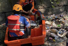 Appi Pantau 'Jumat Bersih' saat WFH, BPBD Makassar Kerahkan Personel Bersihkan Kanal