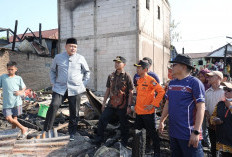 Kebakaran Tallo Akibatkan 235 Warga Kehilangan Tempat Tinggal, Pemkot Lakukan Penanganan Darurat