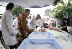 Appi Lepas Ekspor Perdana Gurita PT NNS ke Jepang