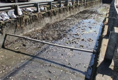 Satgas Drainase Dinas PU Makassar Normalisasi Kanal Jalan Pengayoman Usai Aduan Warga di Lontara Plus