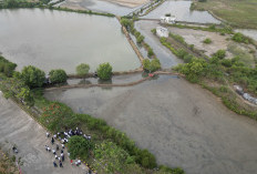 Stadion Untia Resmi Masuk Tahap Tender