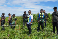 Peringatan Hari Juang TNI AD, Bupati Sidrap Pimpin Aksi Bersih Enceng Gondok di Danau Sidenreng 