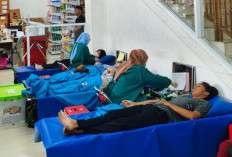 CitraCosmetic dan PMI Makassar Berhasil Kumpulkan 75 Kantong Darah