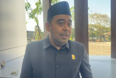 Lurah Sibuk Nongkrong dan Bisnis, DPRD Makassar Minta Wali Kota Evaluasi Menyeluruh