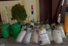 Operasi Tuak, Polresta Gowa Sita 750 Ballo di Pattallassang