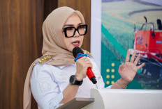 Eks Pimpinan DPRD Sulsel Tegaskan Tak Ada Pembahasan Anggaran  Bibit Nanas dalam APBD 2024