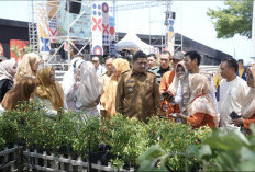 Pemkot Makassar Optimalisasi Urban Farming untuk Ketahanan Pangan dan Ekonomi Warga