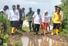 Pemkot Makassar Anggarkan Rp4 Miliar Perbaikan Jalan di Romang Tongayya