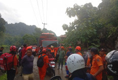 Appi Kerahkan BPBD Makassar, Gabung Tim Perkuat Operasi SAR Cari Pesawat ATR 400 Hilang