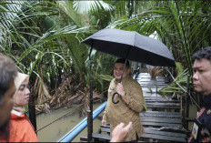 Appi Tinjau Jembatan Kaccia Barombong, Pembangunan Dimulai Maret 2026