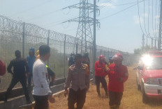 Kebakaran Lahan Ancam Gardu Induk PLN Lanna
