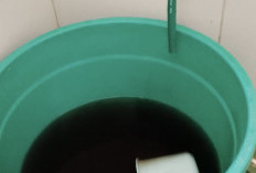 Bayar Air PDAM, Warga Kalabirang Takalar Malah Dapat Air Keruh, Ada Ancaman Kesehatan?