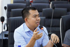 Komisi B DPRD Sulsel Pastikan Stok Ayam Broiler Aman, Dorong Stabilitas Harga