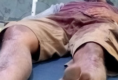 Pesta Ballo di Lonjoboko, Menantu Tikam dan Tebas Mertua