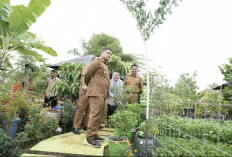 Program Urban Farming, Appi Minta Warga Maksimalkan Lahan Kosong