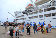 PELNI Cabang Makassar Operasikan 14 Kapal Antisipasi Lonjakan Mudik Lebaran 2026