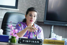 Soal Pengadaan Bibit Nanas Era Pj Gubernur Sulsel, Eks Ketua Komisi B  Ungkap Tidak Pernah Lewat Pembahasan 