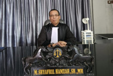 Praktisi Hukum Nilai Ada Disparitas Vonis 2,5 Tahun yang Dialami Owner Kosmetik  Sidrap 