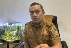 Ratusan PPPK Paruh Waktu Mengundurkan Diri, Begini Penjelasan BKPSDMD Makassar