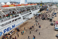 PELNI Kerahkan 55 Kapal dan 751 Ribu Tiket untuk Angkutan Lebaran 2026