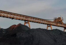 PT Mahakam Sumber Jaya Tegaskan Miliki Izin Operasi Tambang dan Apresiasi Langkah Satgas PKH Berantas Tambang 