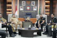 Wali Kota Munafri Siap Hadiri Pelantikan DPP APPI 