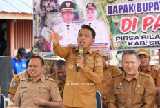 Berkat Program Pertanian Syaharuddin-Nur Kanaah, Petani di Salomallori Kantongi Rp 11 Juta/Bulan