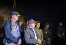 Ilegal Logging Marak di Gowa, Ratusan Hektare Hutan Lindung Rusak Dirambah